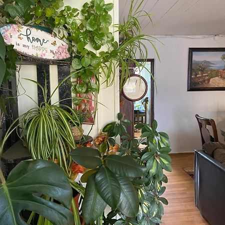 Hospedaje Familiar Glady'S House Puerto Montt Ngoại thất bức ảnh